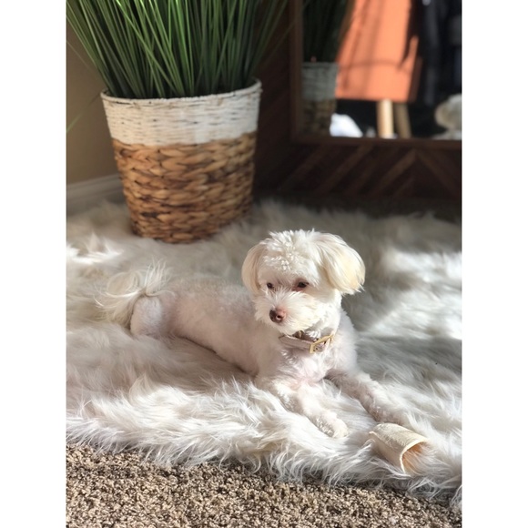 Meet your Posher, Amanda - Picture 4 of 8